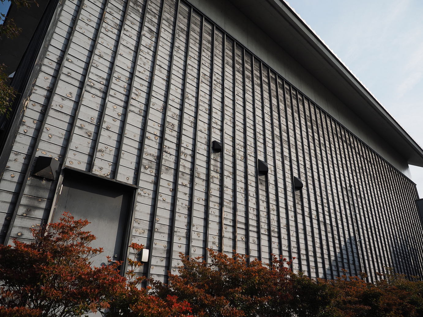 PA100230.jpg