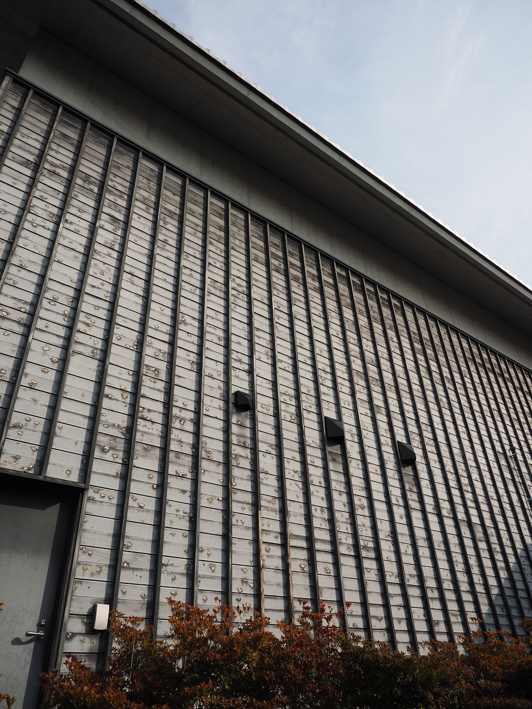PA100231.jpg