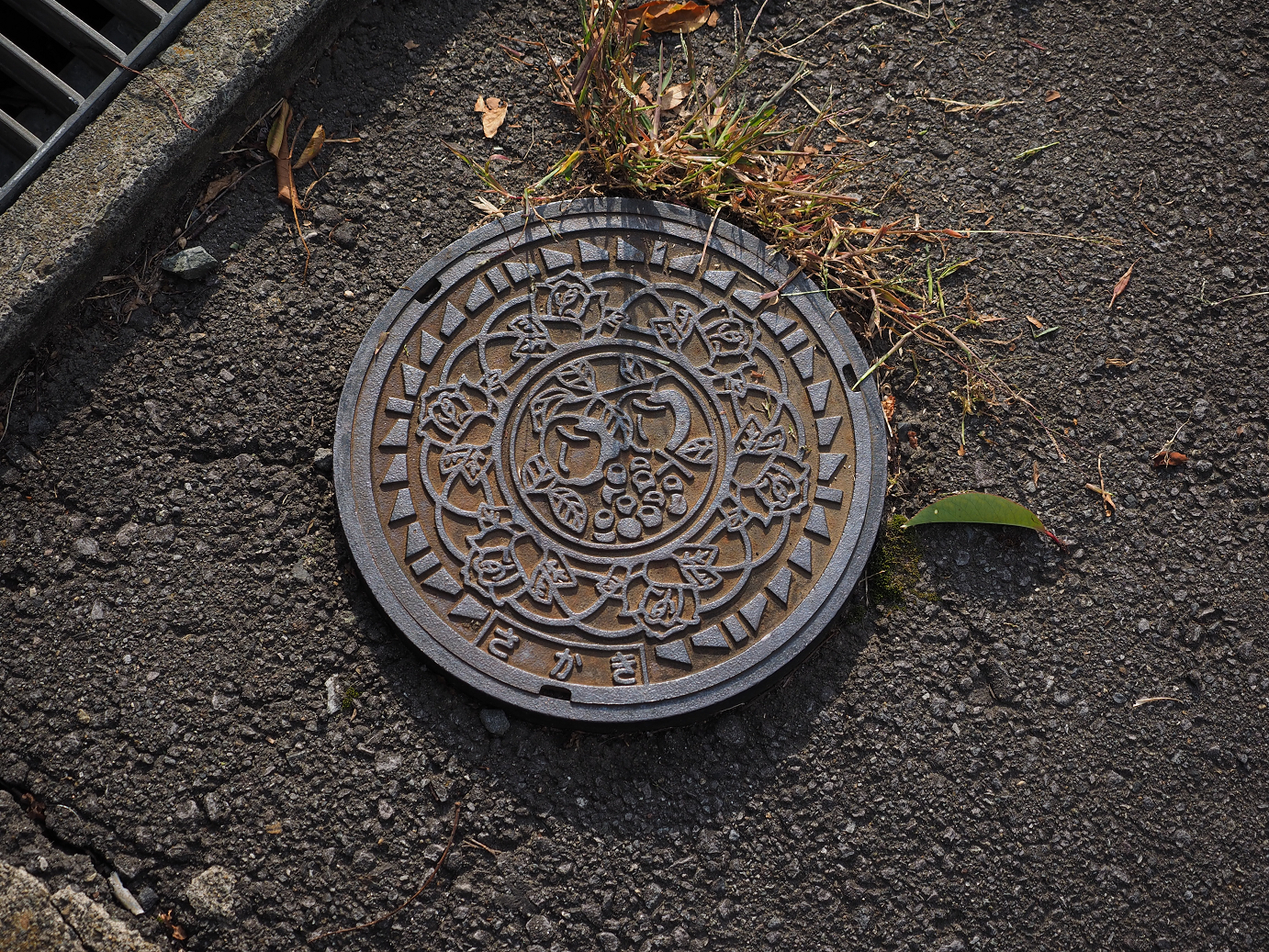 PA100233.jpg