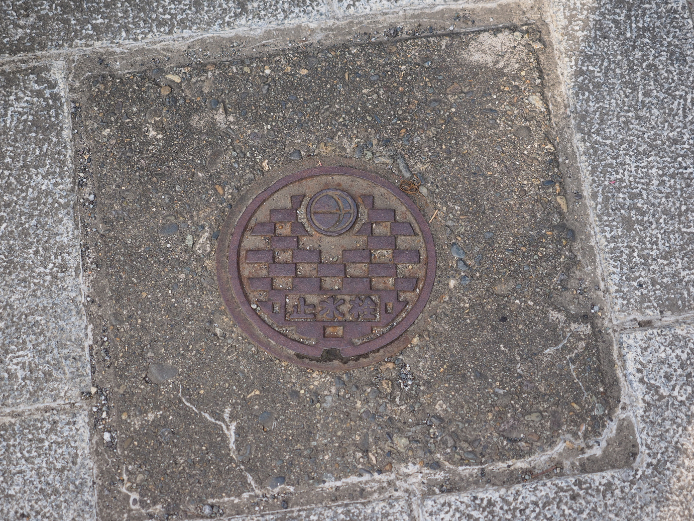 PA100235.jpg
