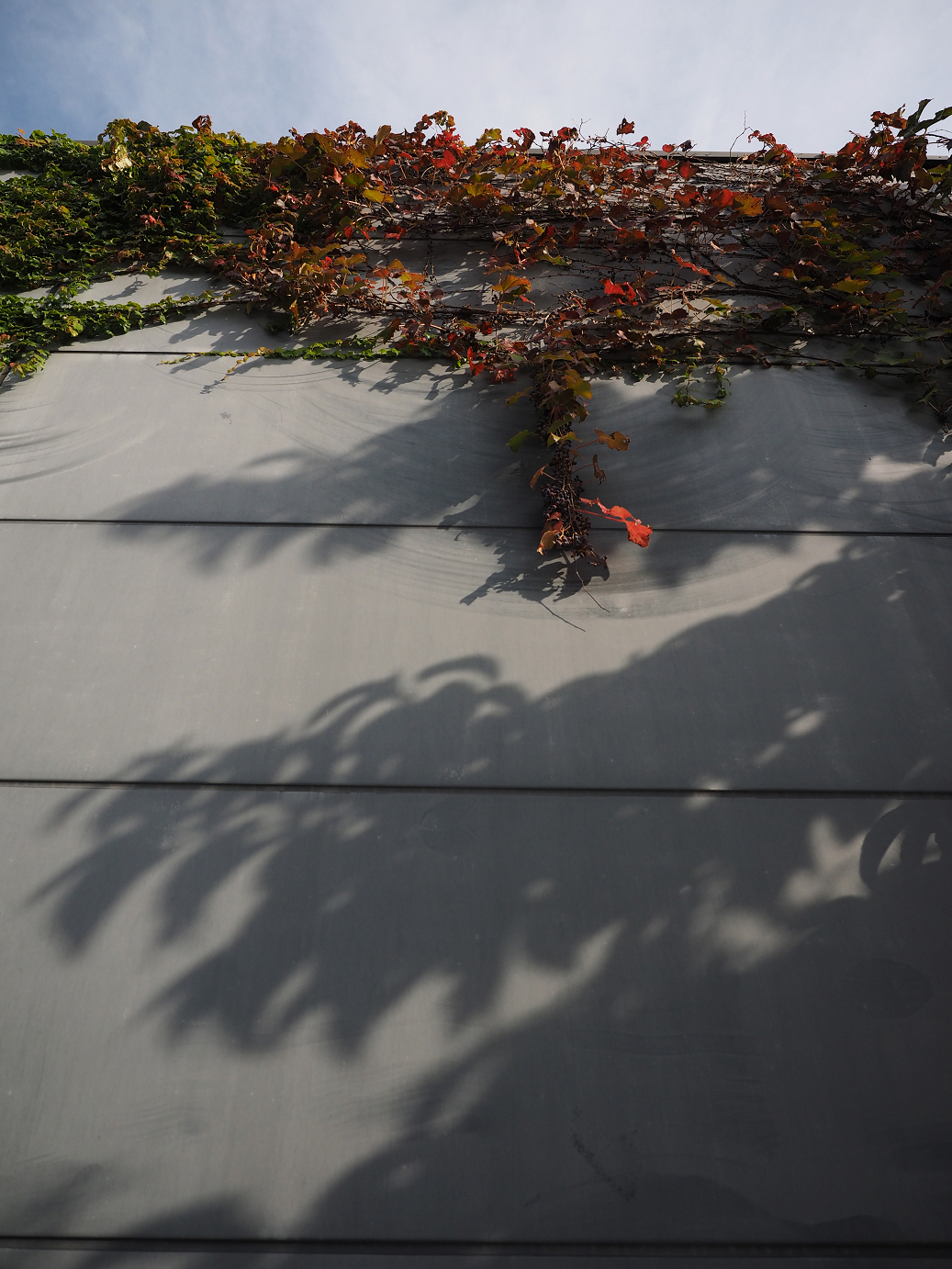 PA100240.jpg