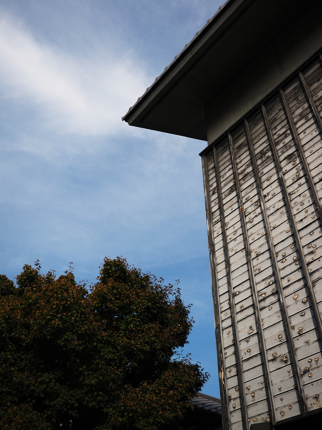 PA100241.jpg