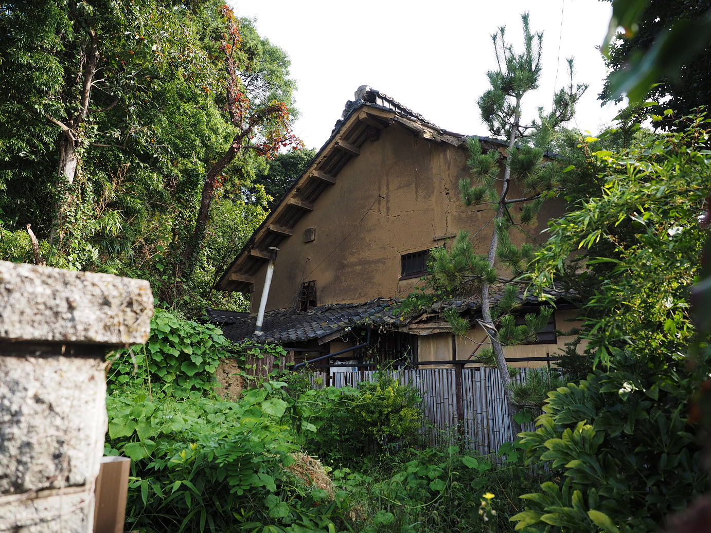 PA100250.jpg
