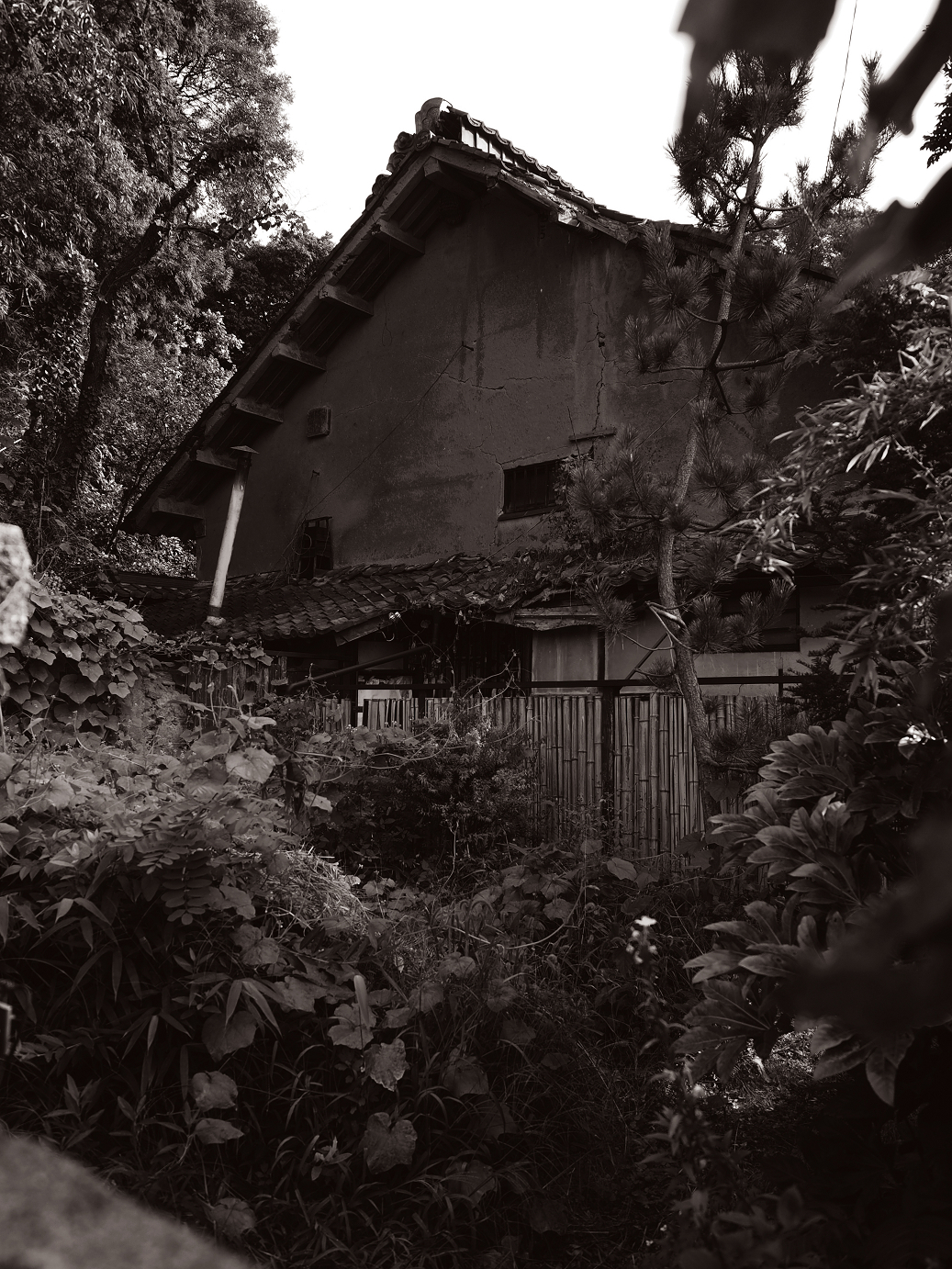 PA100252.jpg