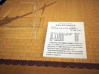 PA100285_thumb.png