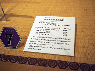 PA100287_thumb.png