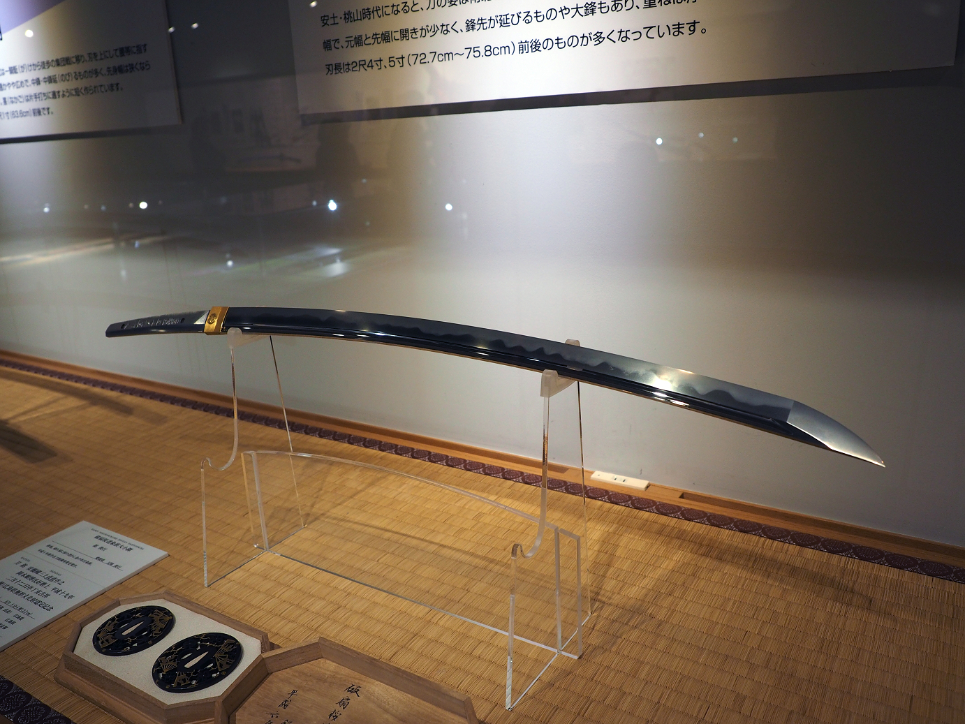 PA100303.jpg