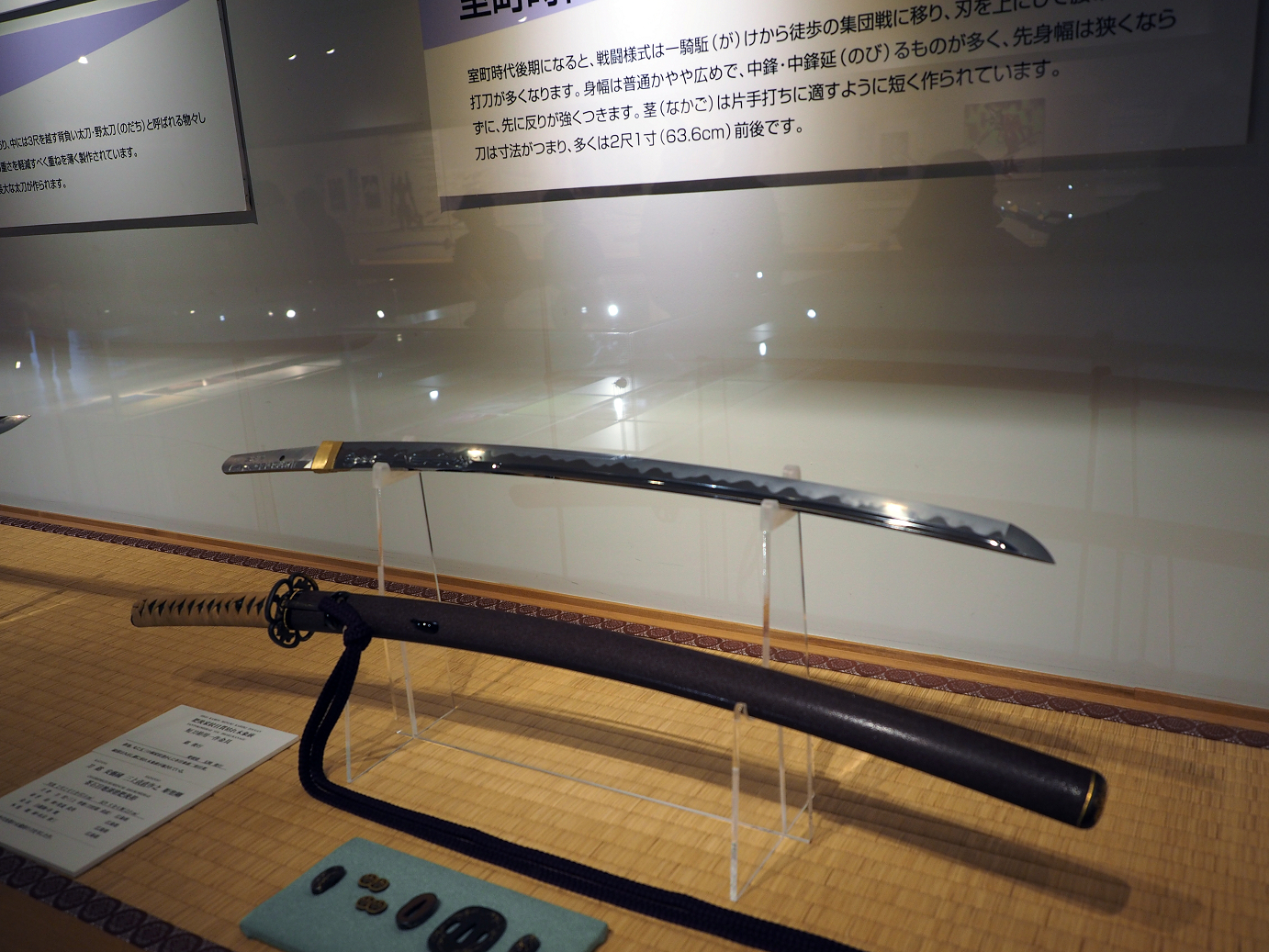 PA100305.jpg