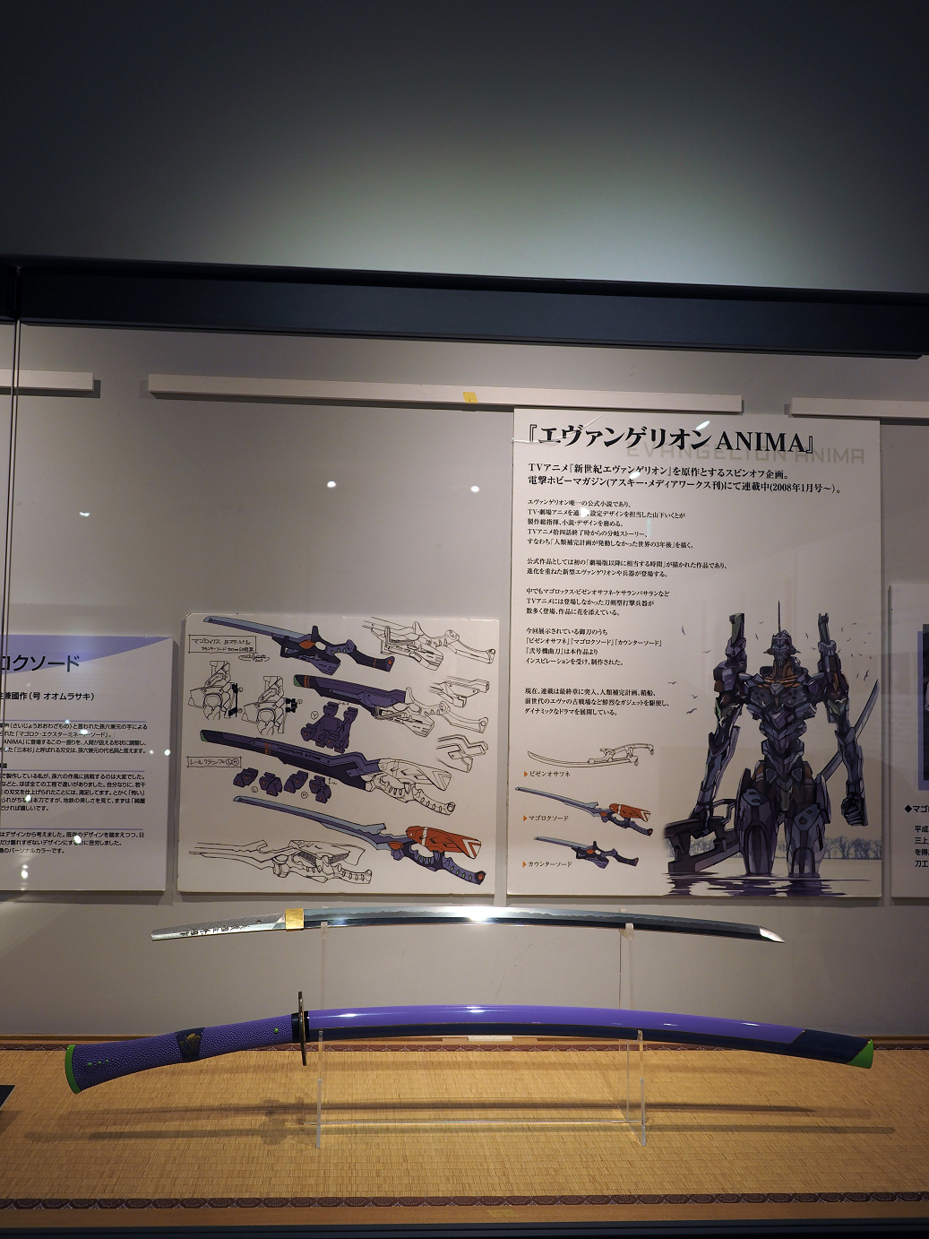 PA100313.jpg
