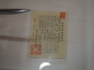 PA100421_thumb.png