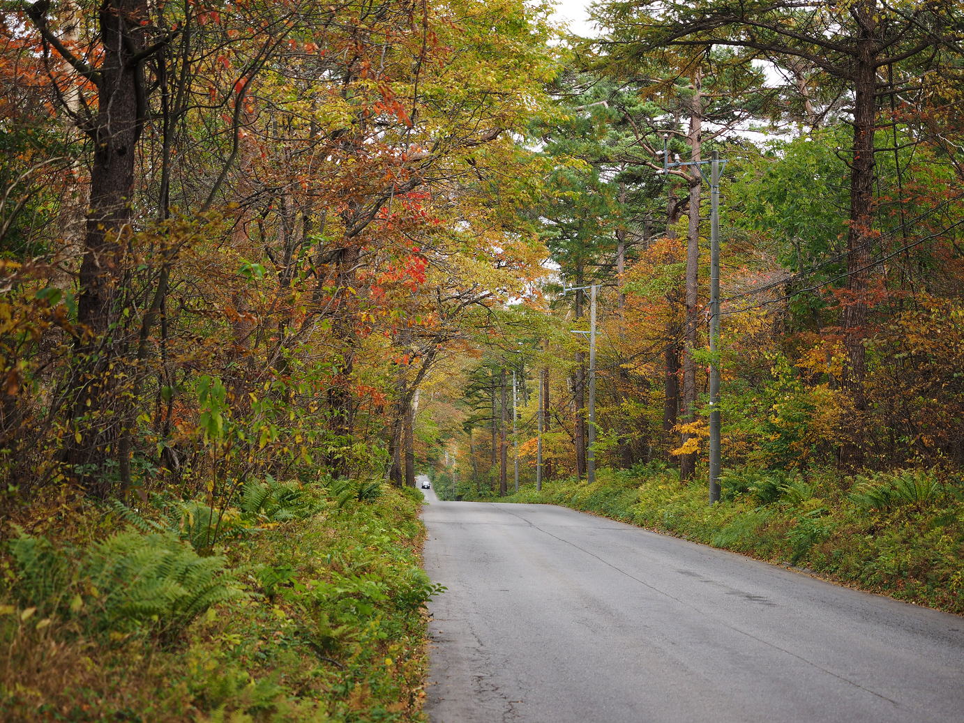 PA100514.jpg