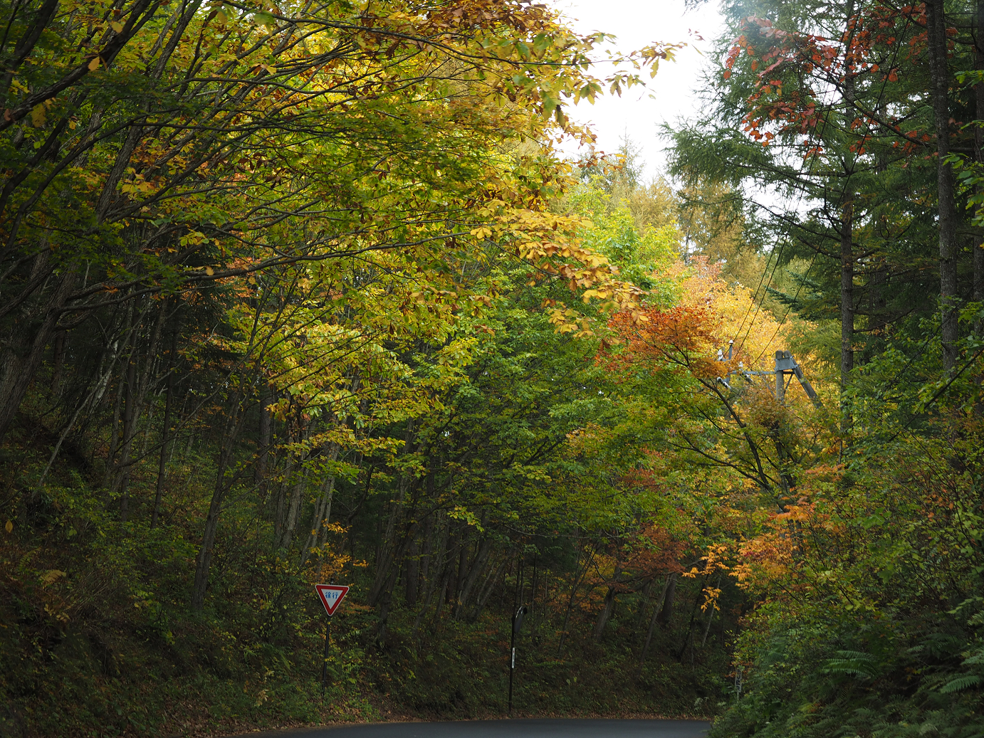 PA100517.jpg
