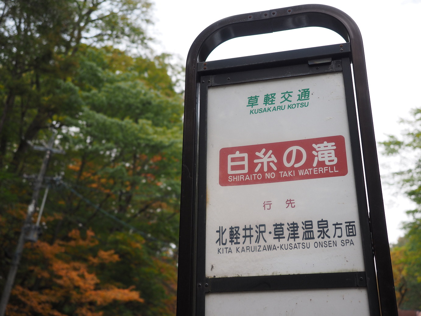PA100521.jpg