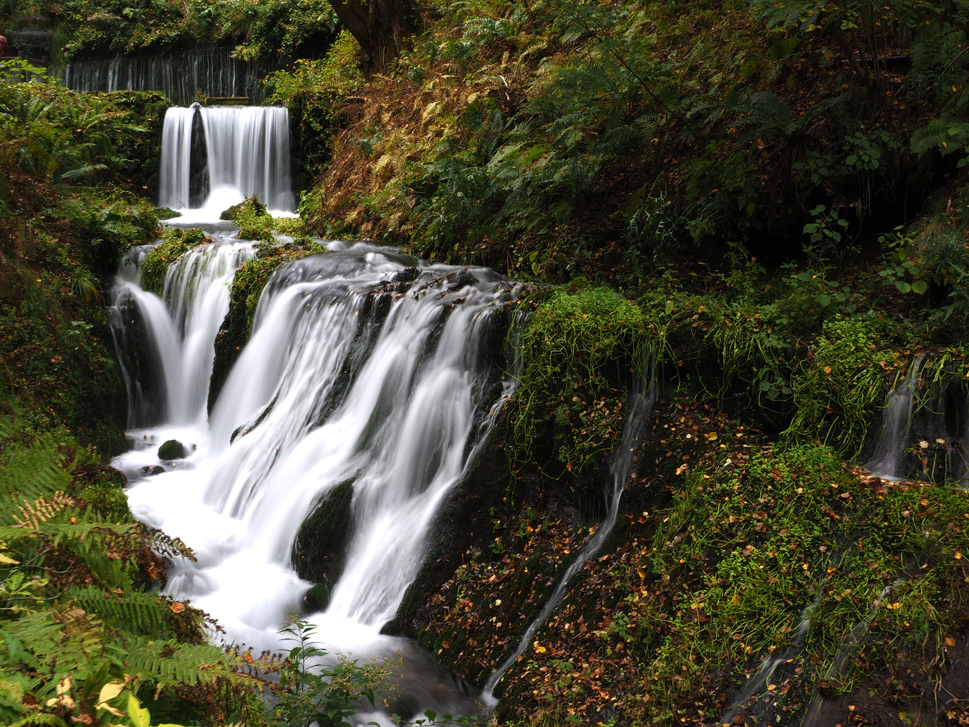 PA100543.jpg