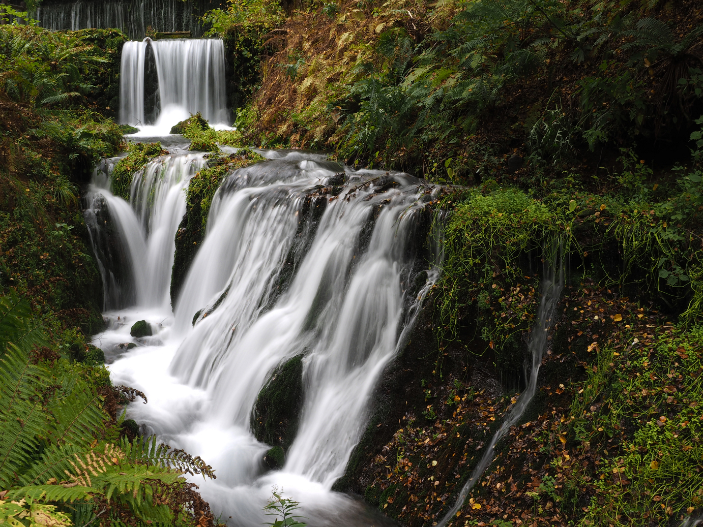 PA100545.jpg
