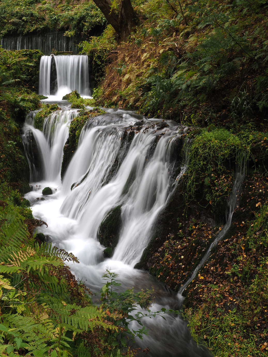 PA100547.jpg