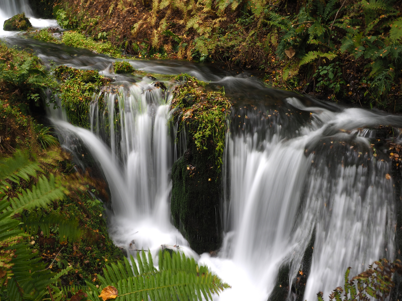 PA100548.jpg