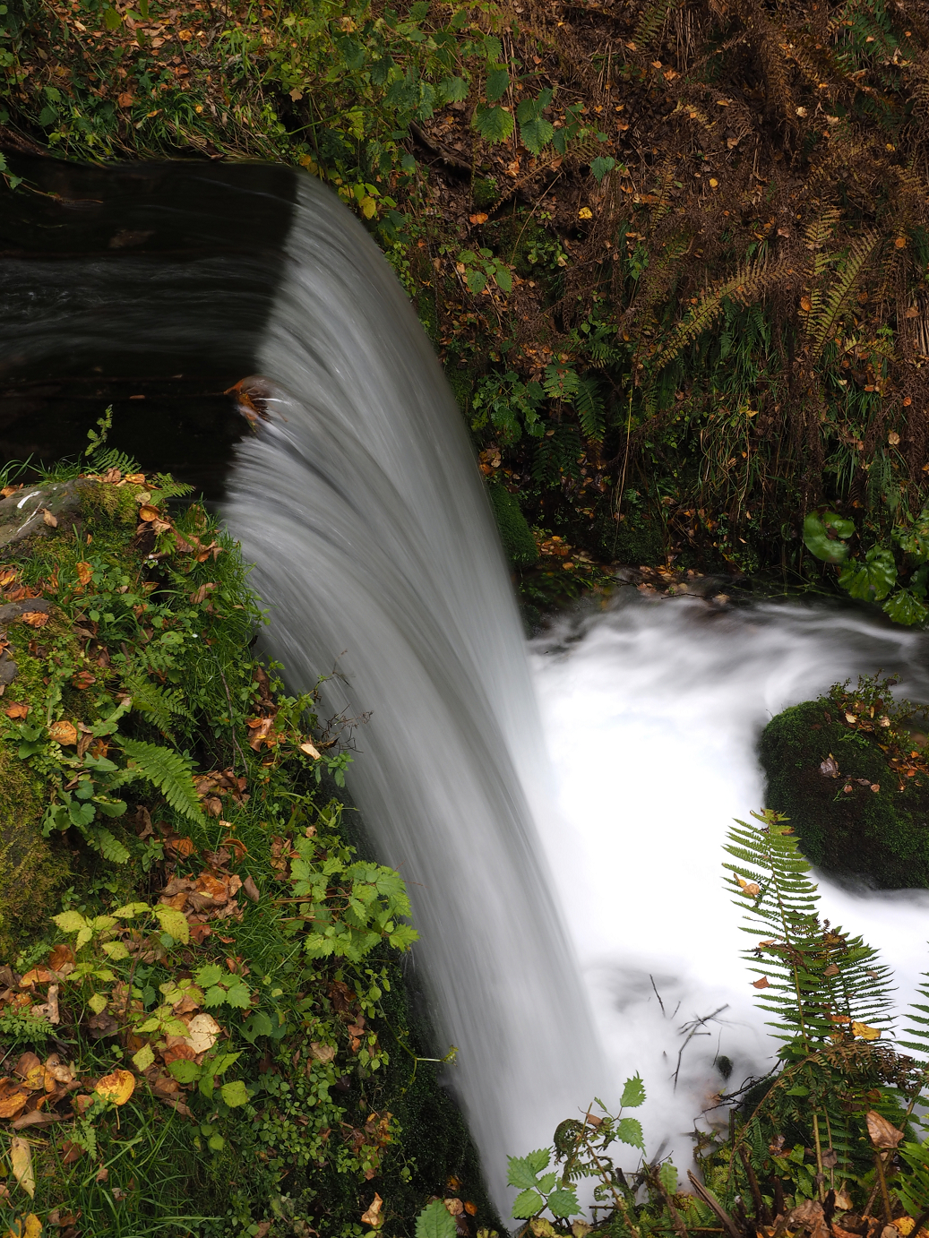 PA100553.jpg