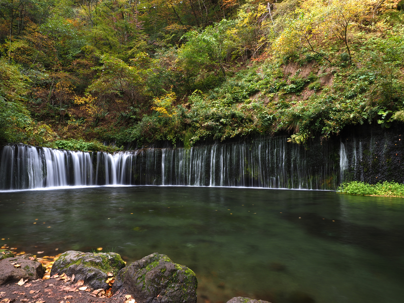 PA100556.jpg