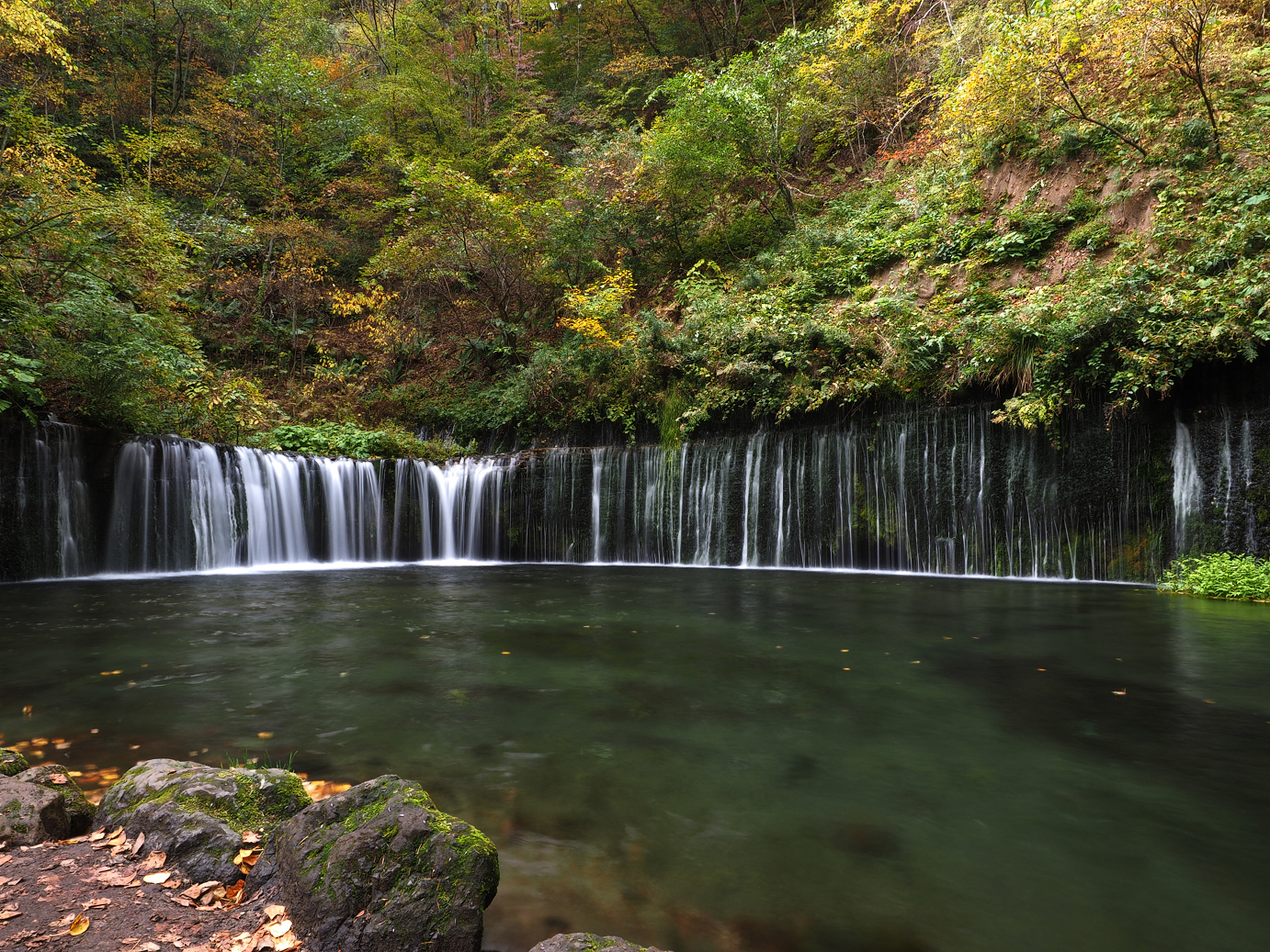 PA100557.jpg