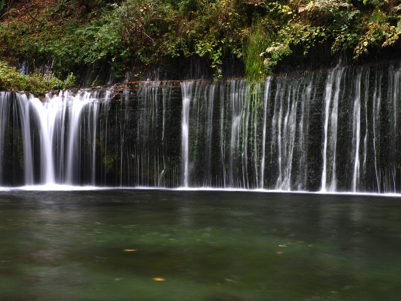 PA100559.jpg