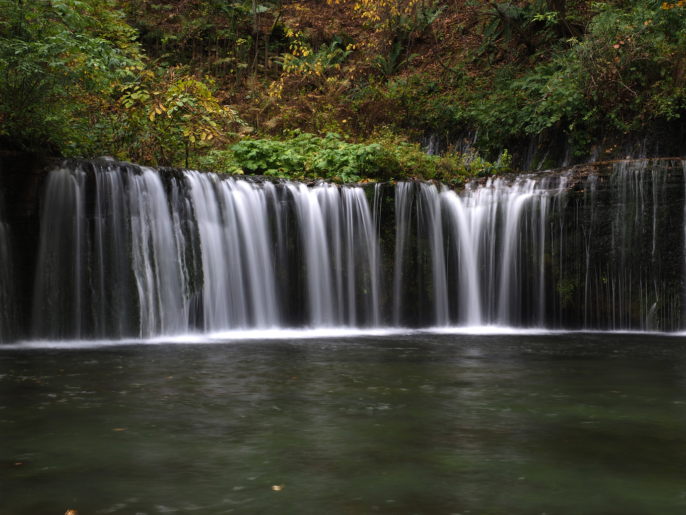 PA100560.jpg