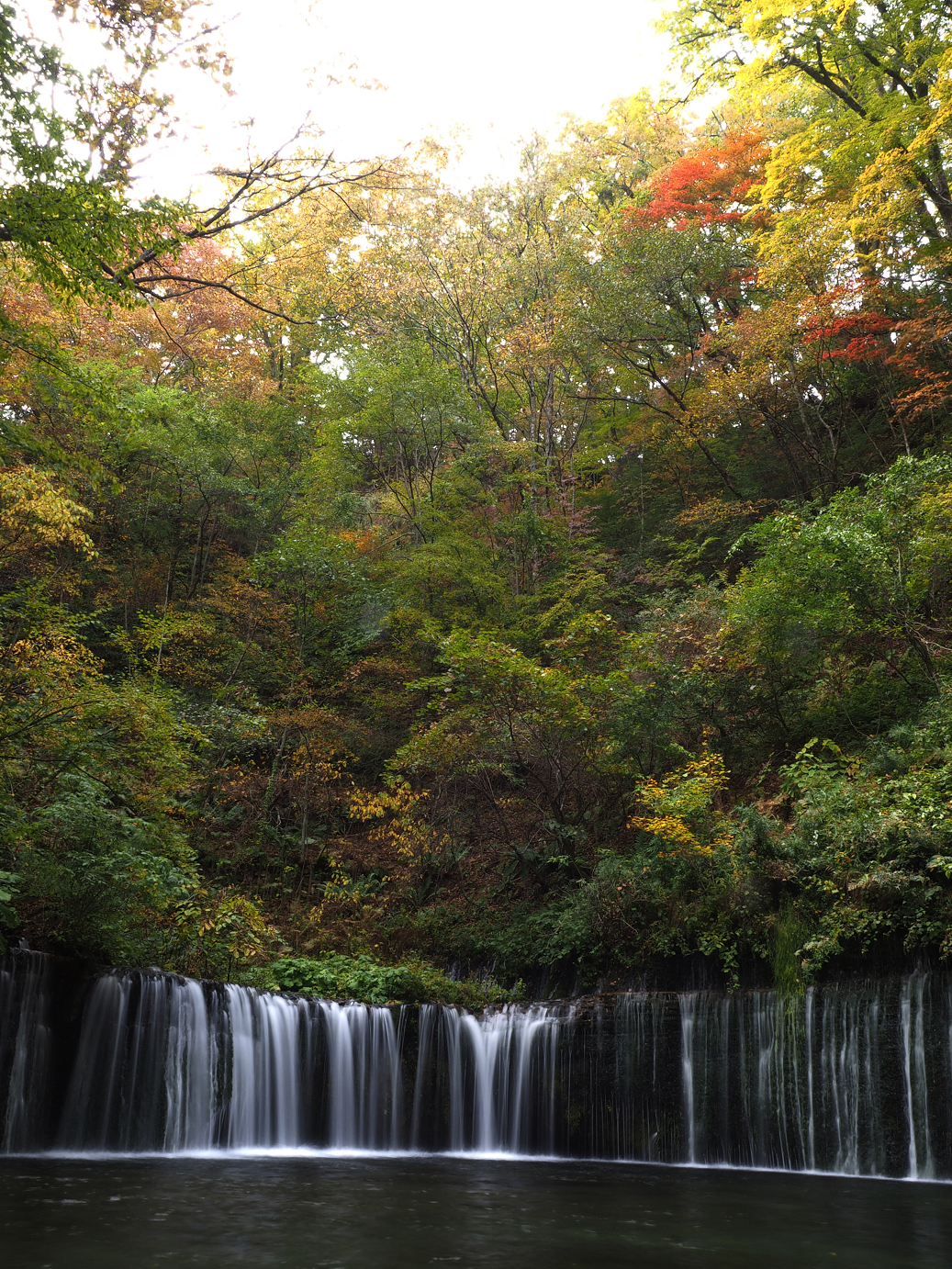 PA100561.jpg