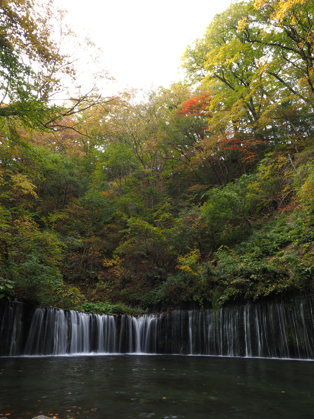 PA100564.jpg