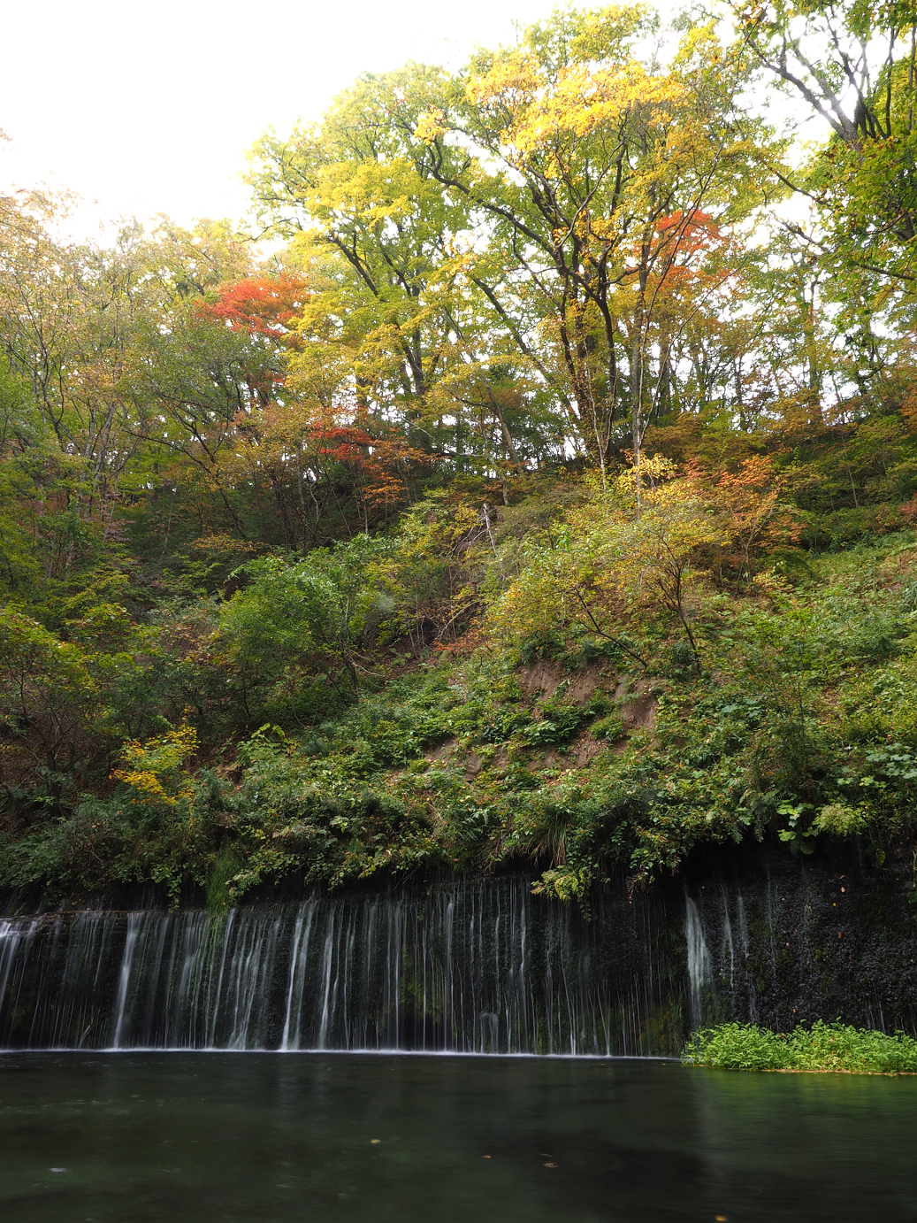 PA100566.jpg