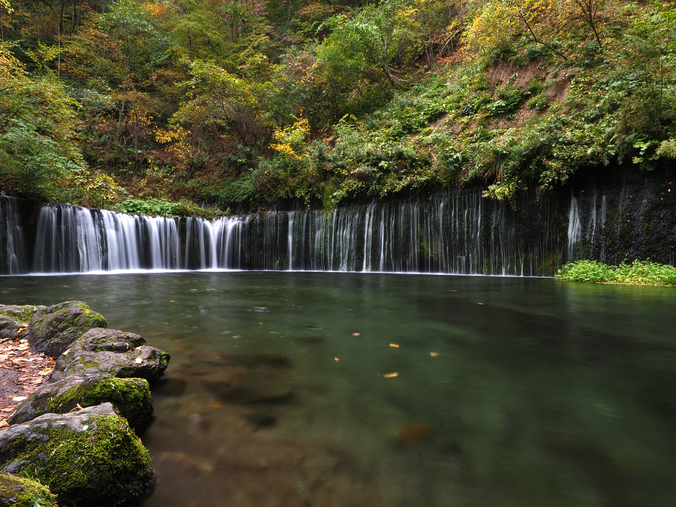 PA100569.jpg