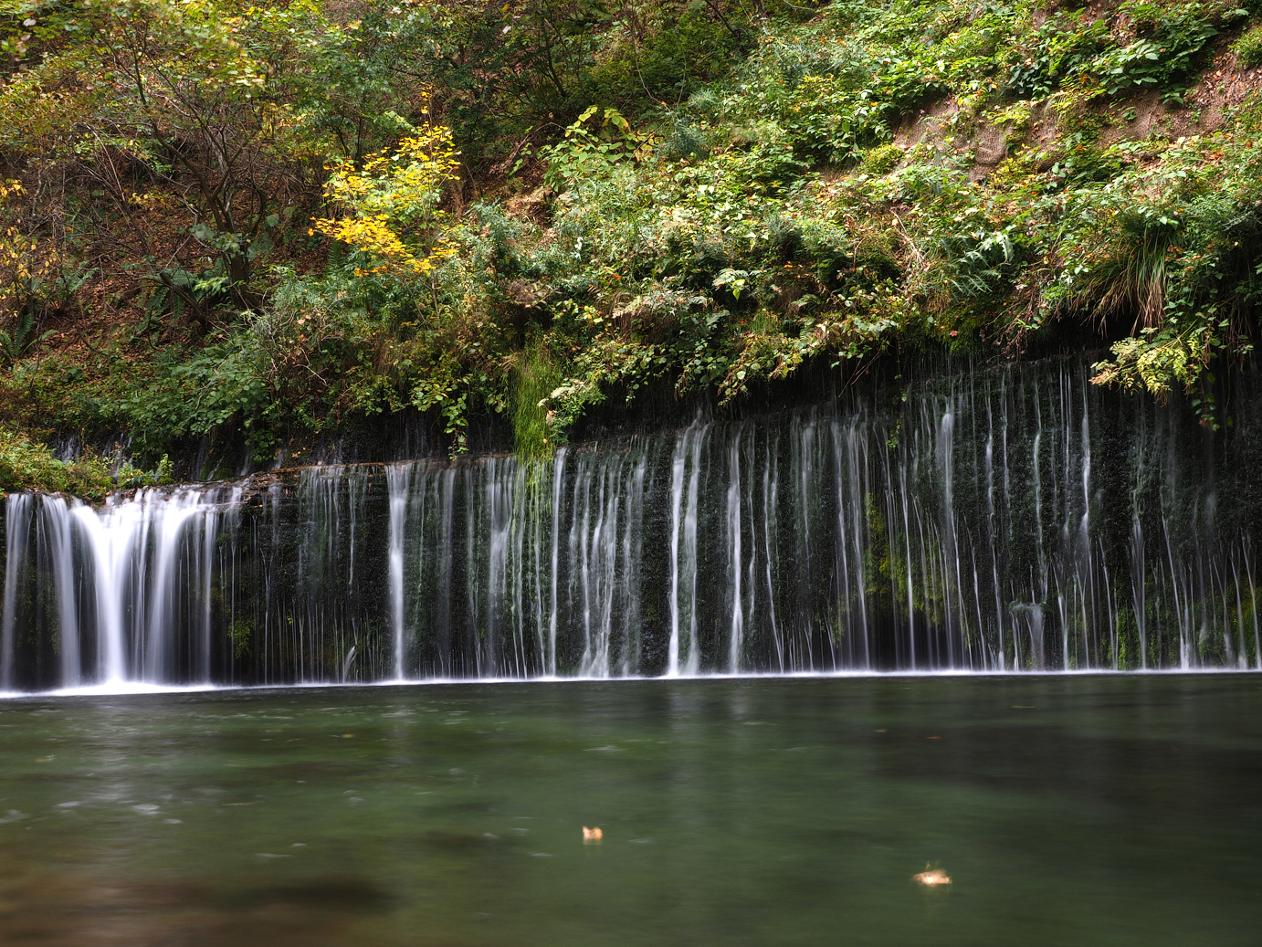 PA100573.jpg
