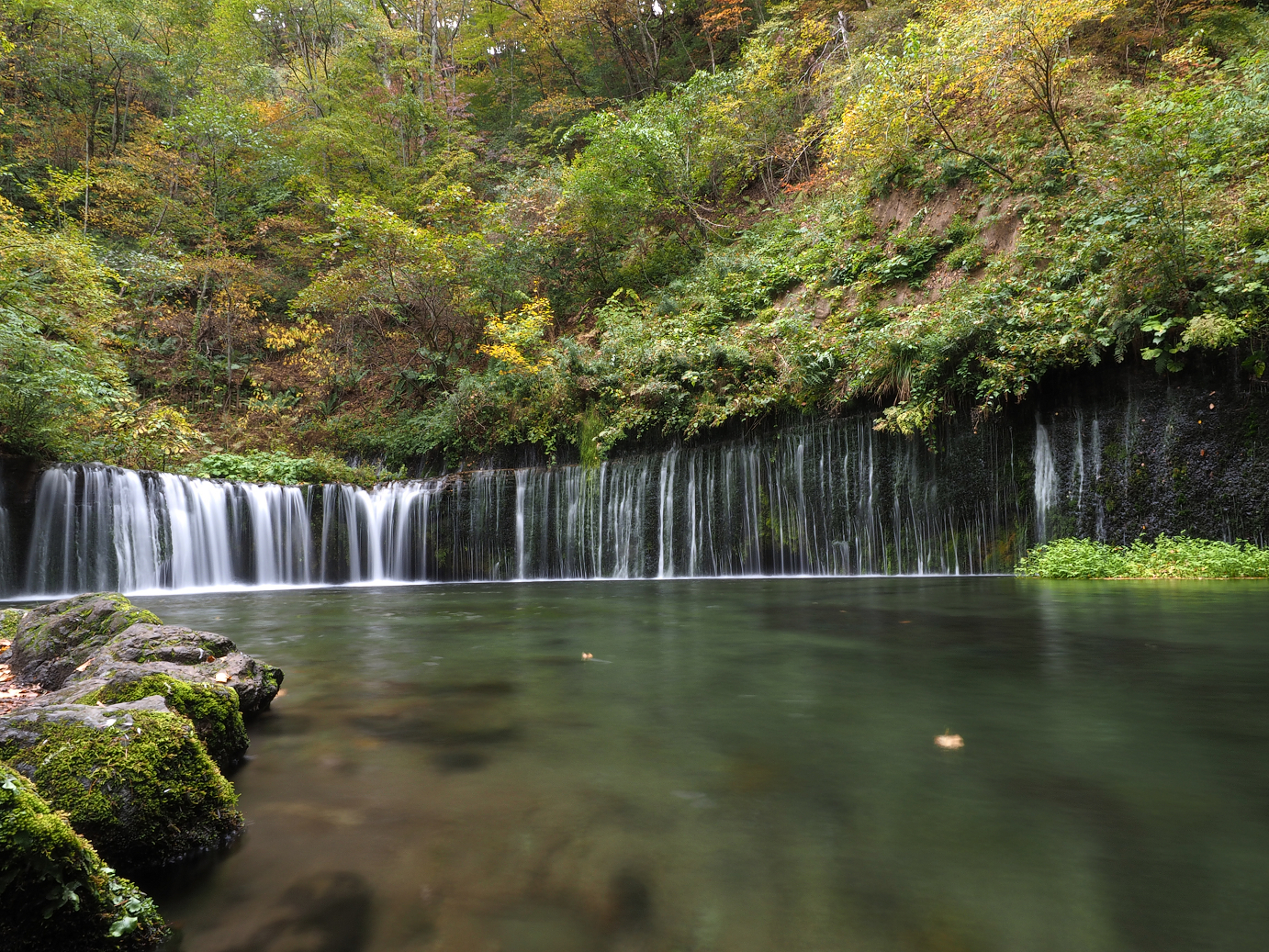 PA100576.jpg