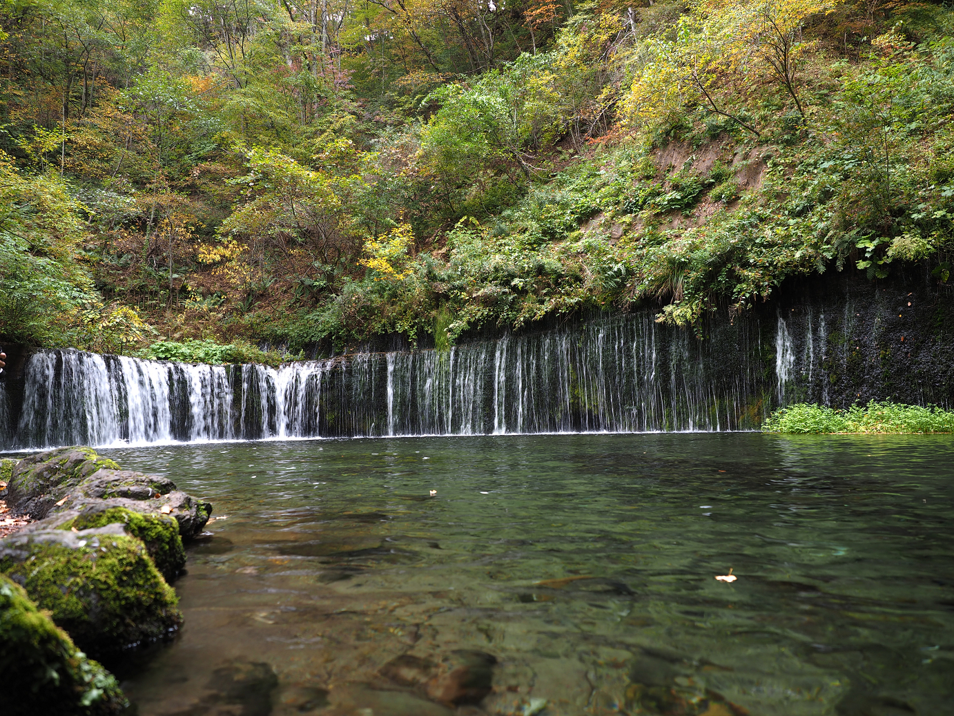 PA100577.jpg