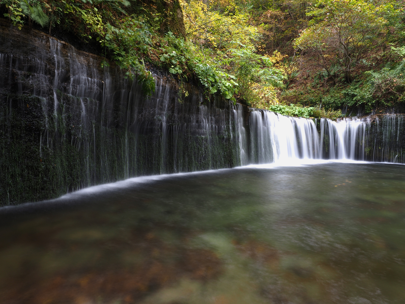 PA100582.jpg