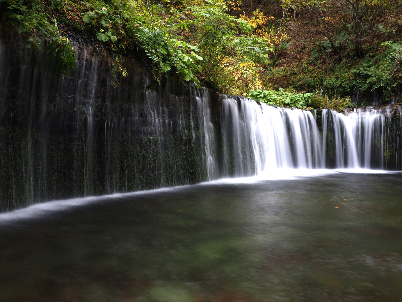 PA100583.jpg
