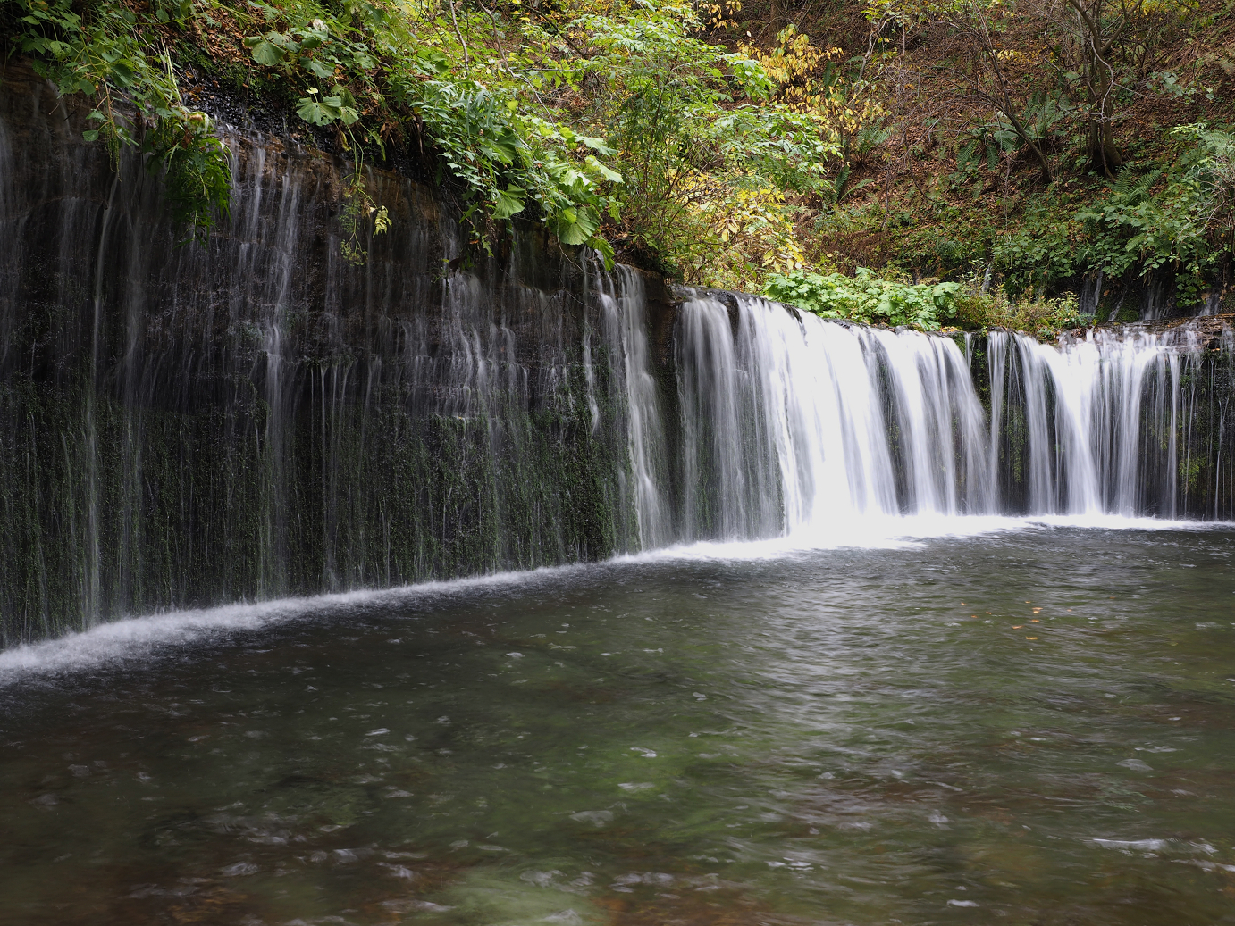 PA100584.jpg
