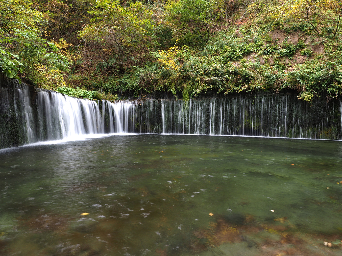 PA100586.jpg