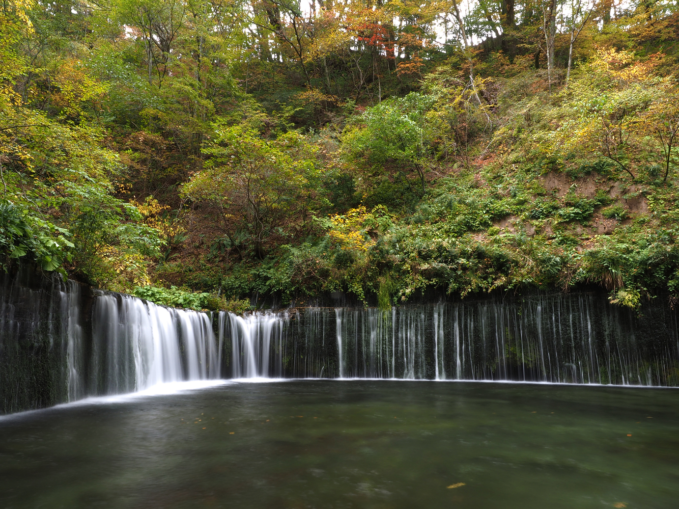 PA100588.jpg