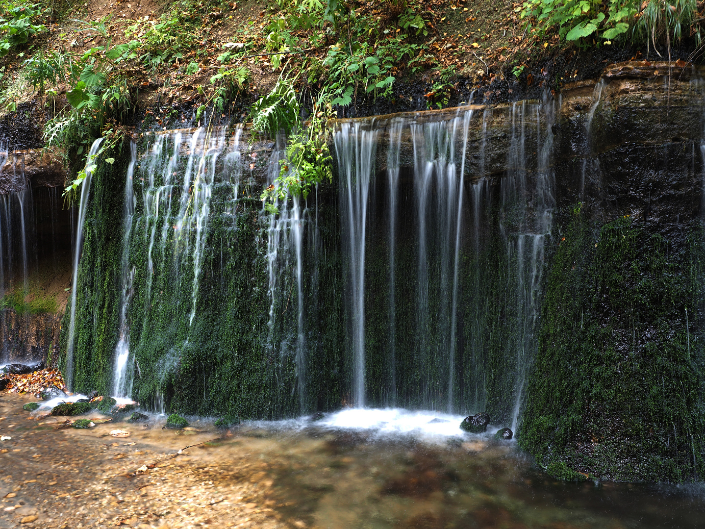 PA100589.jpg