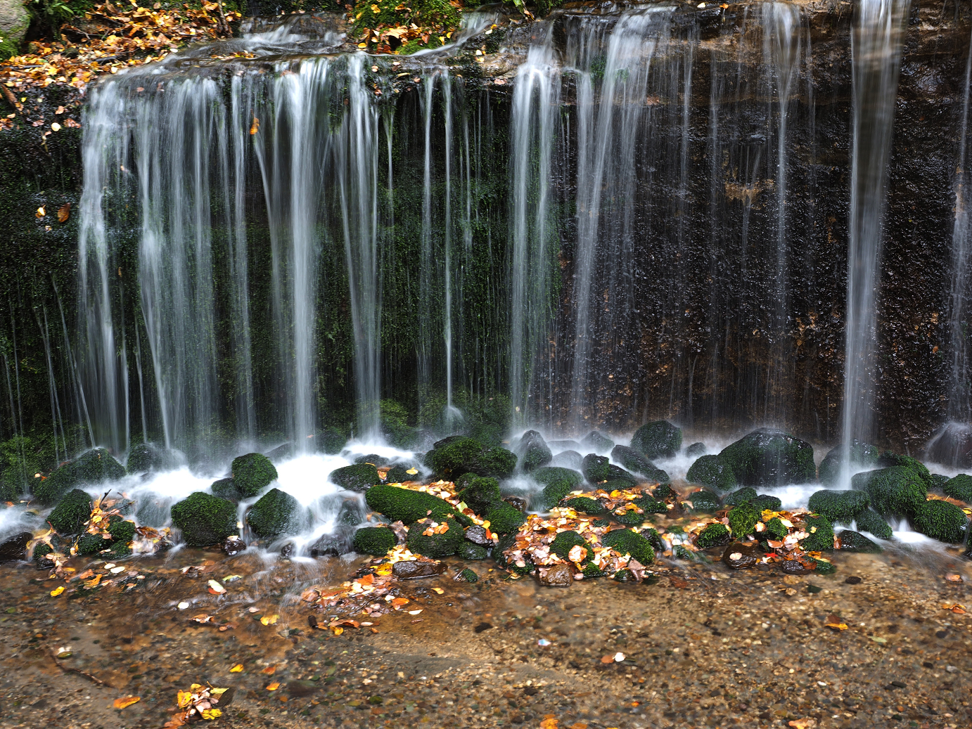 PA100590.jpg