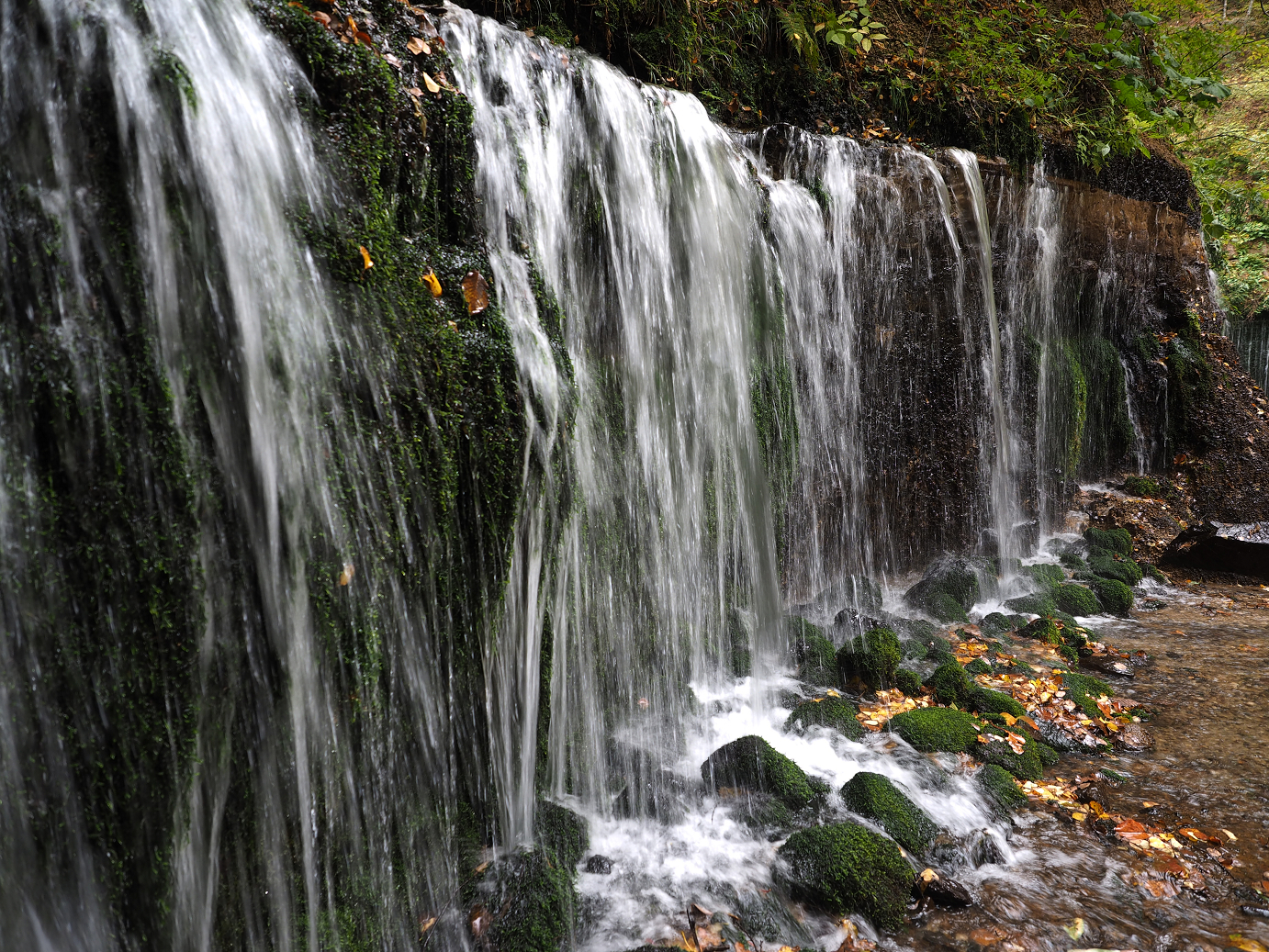 PA100594.jpg