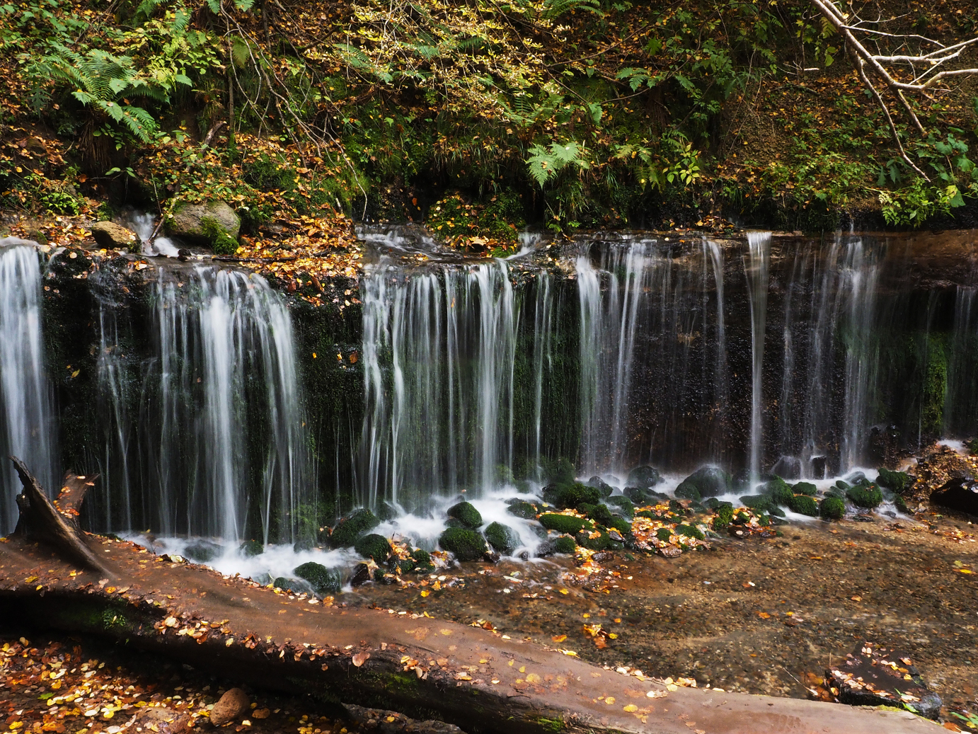PA100602.jpg
