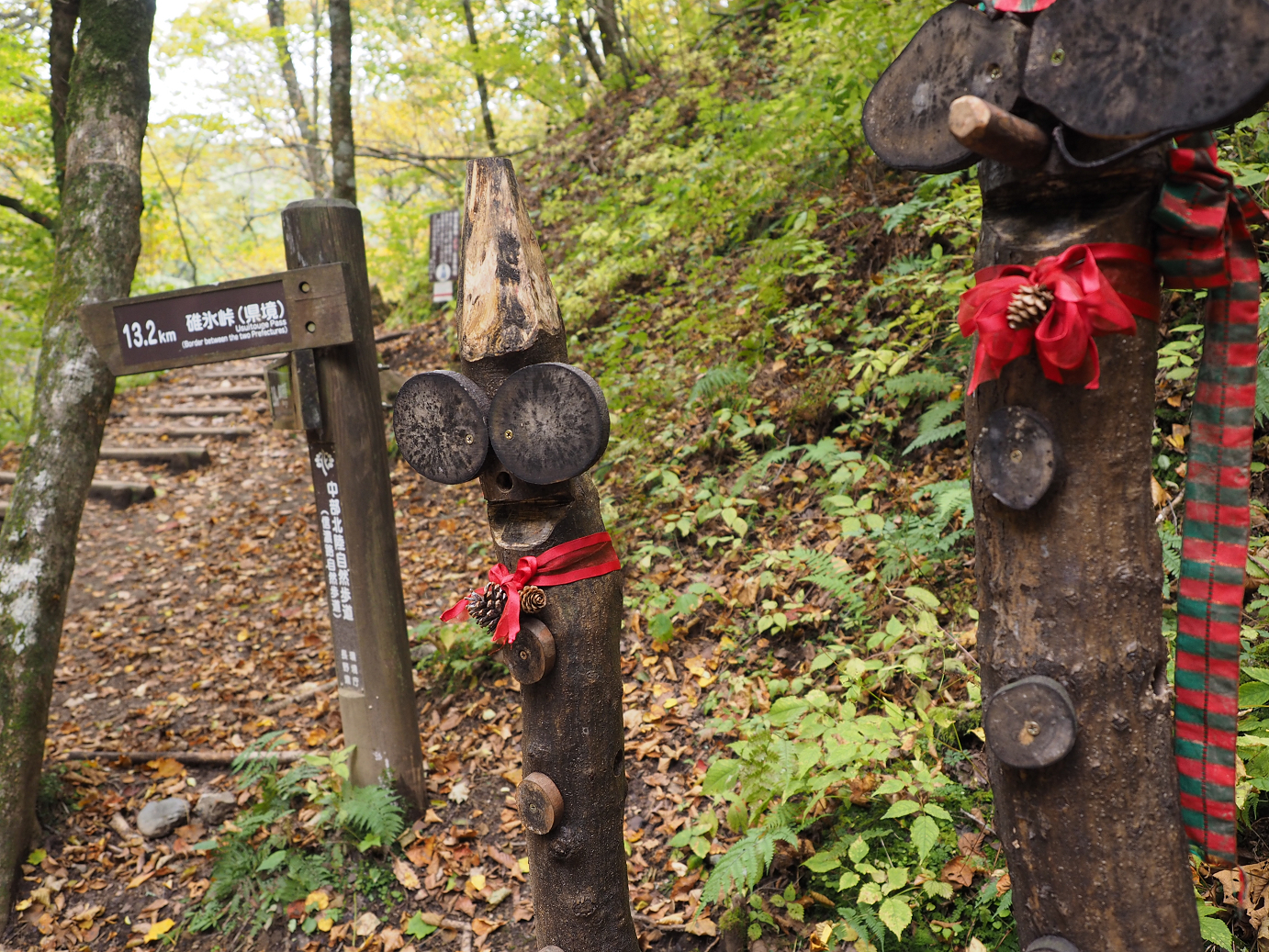 PA100603.jpg