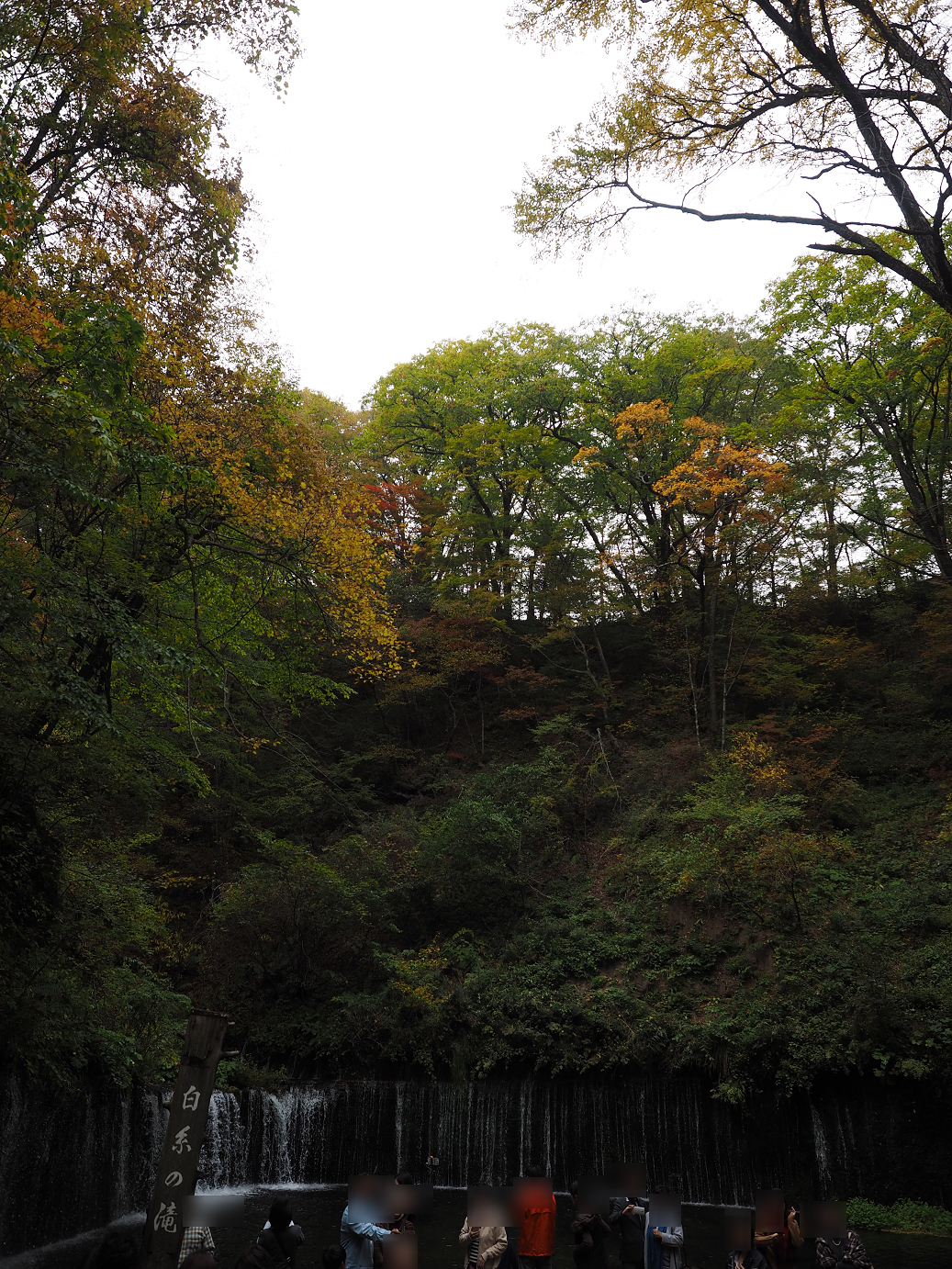 PA100604.jpg