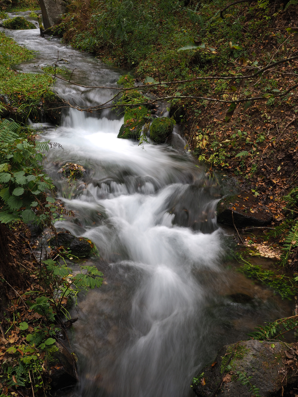 PA100611.jpg