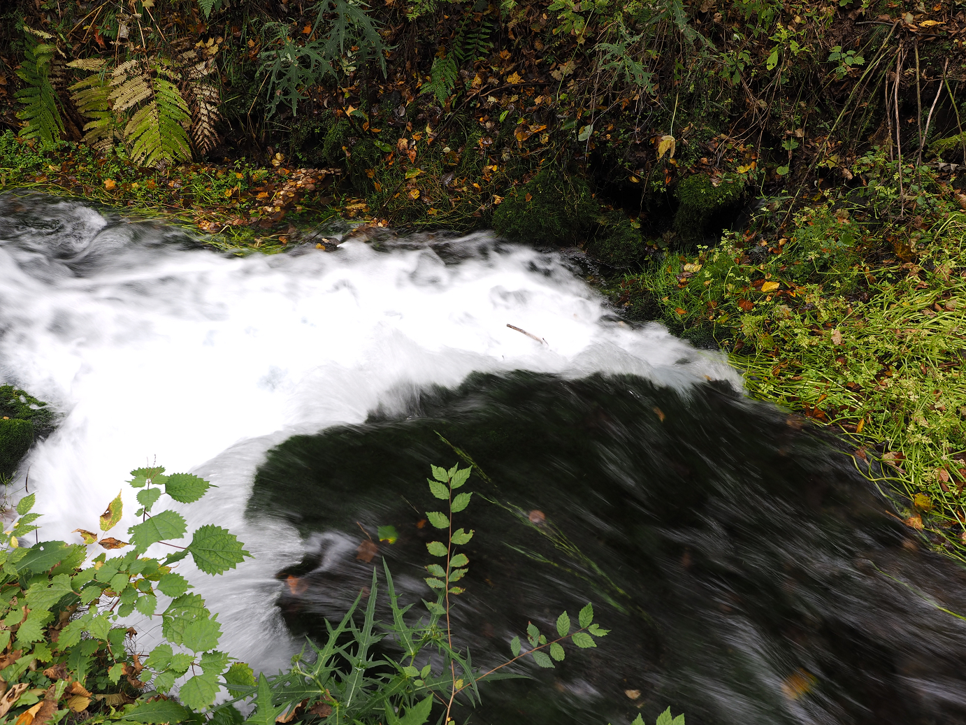 PA100619.jpg