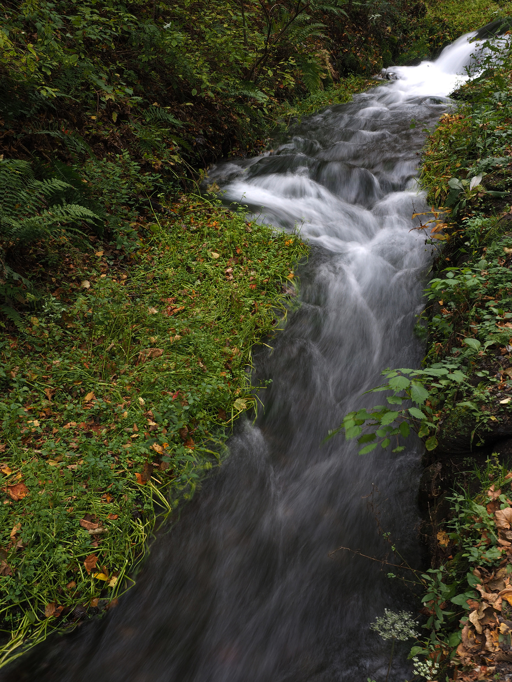 PA100624.jpg