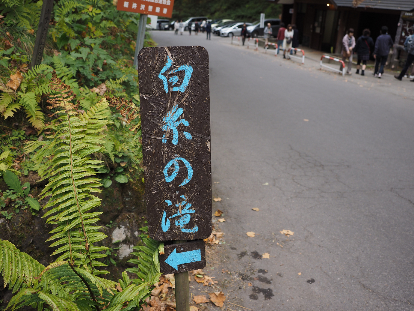 PA100626.jpg