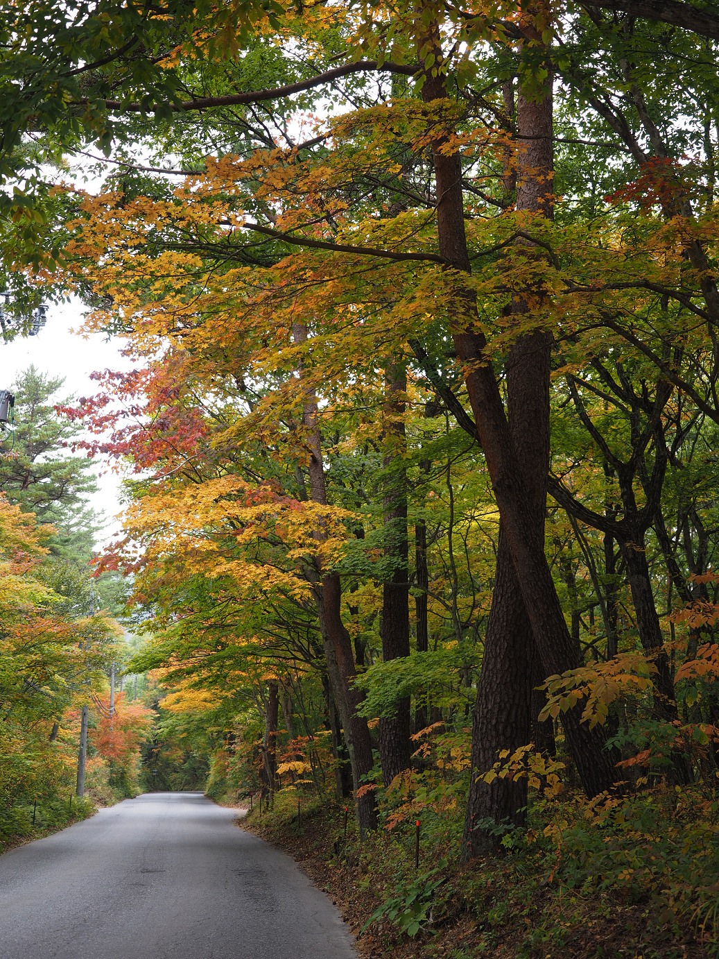 PA100649.jpg