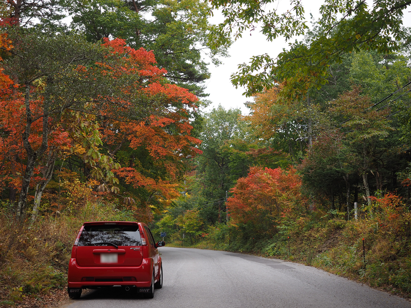 PA100650.jpg